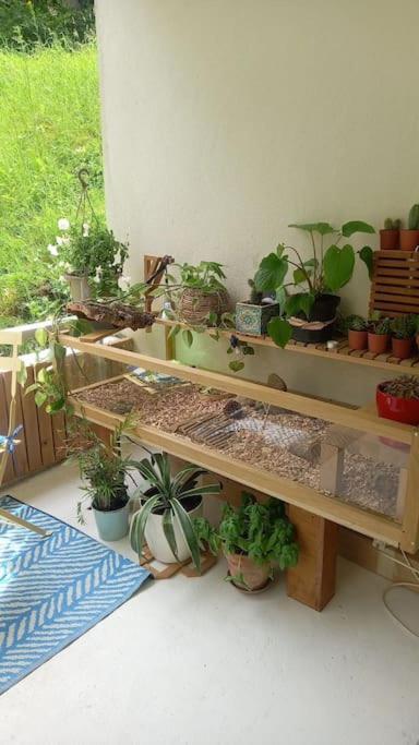 Le Doubs Cosy Apartman Besançon Kültér fotó