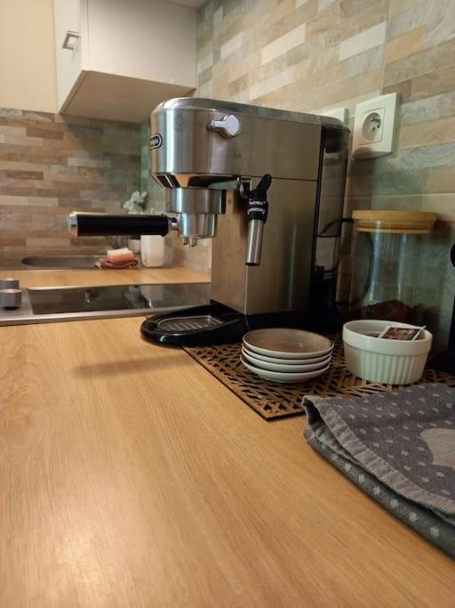 Le Doubs Cosy Apartman Besançon Kültér fotó